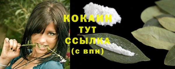прущий лед Сосновка