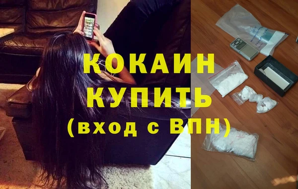 кокс Сосновый Бор