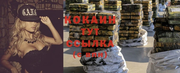 кокс Сосновый Бор