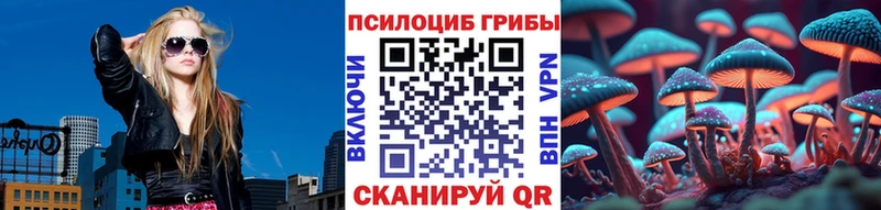 Купить где  Харовск  Псилоцибиновые грибы MAGIC MUSHROOMS 